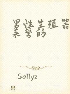 男性生殖器硬起来弯的