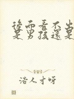 后面看不出怀孕是男孩还是女孩