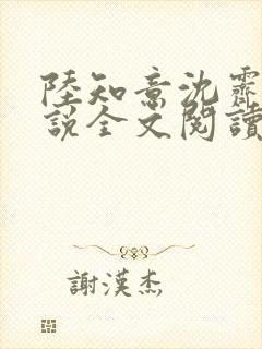 陆知意沈霁川小说全文阅读封面