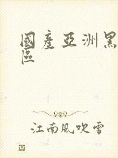 国产亚洲黑丝一区