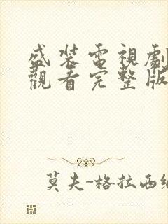 盛装电视剧免费观看完整版高清