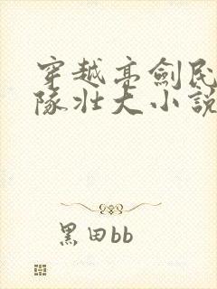 穿越亮剑民兵部队壮大小说