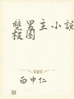 双男主小说甜文校园