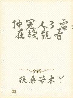 伸冤人3 电影 在线观看