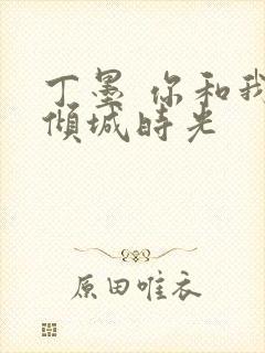 丁墨 你和我的倾城时光