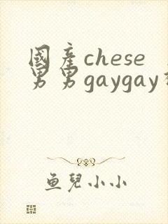 国产chese男男gaygay视频网站封面