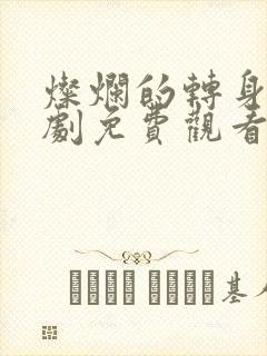 灿烂的转身电视剧免费观看完整版高清