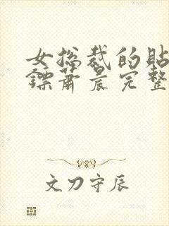 女总裁的贴身保镖萧晨完整版