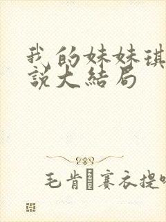 我的妹妹琪琪小说大结局