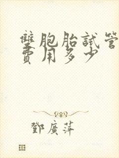 双胞胎试管婴儿费用多少封面