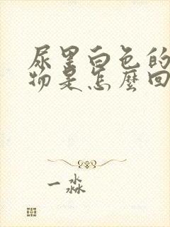 尿里白色的浑浊物是怎么回事