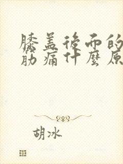 膝盖后面的腿窝筋痛什么原因