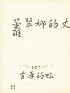 董翠娜的丈夫是谁封面