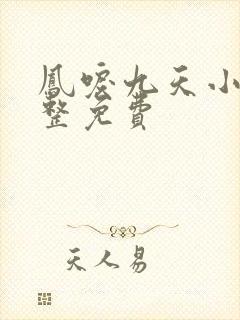 凤唳九天小说完整免费封面