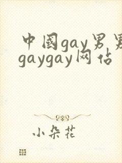 中国gay男男gaygay网站