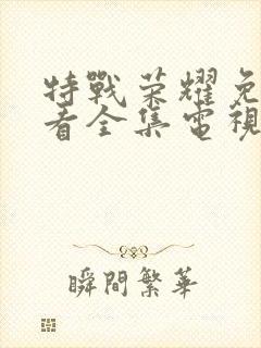 特战荣耀免费观看全集电视剧45集