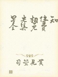 星光相伴知我意全集免费