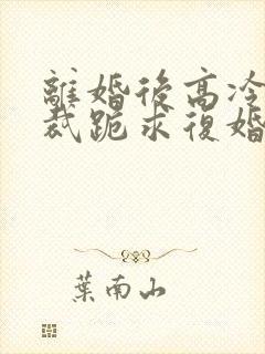 离婚后高冷女总裁跪求复婚