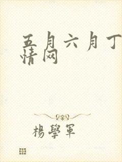 五月六月丁香激情网