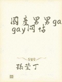 国产男男gay gay网站封面