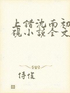 上错沈南初陆时砚小说全文免费阅读