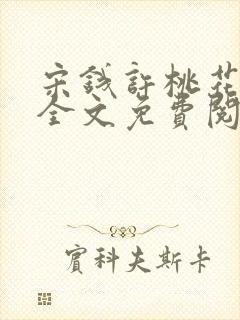 宋钱许桃花小说全文免费阅读