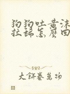 狗狗吐黄沫子还拉稀怎么回事