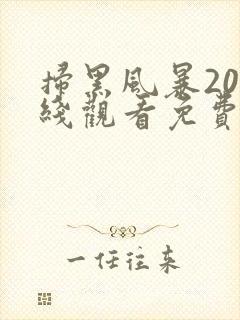 扫黑风暴20在线观看免费完整版2021封面