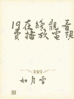 19在线观看免费播放电视剧高清封面