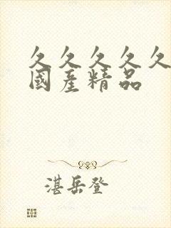 久久久久久久久国产精品