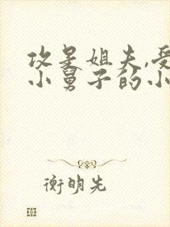 攻是姐夫,受是小舅子的小说