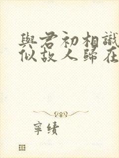 与君初相识,恰似故人归在线观看