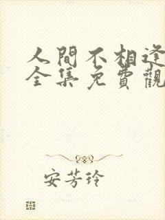 人间不相逢短剧全集免费观看