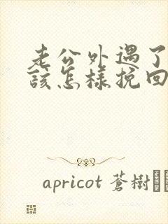 老公外遇了女人该怎样挽回婚姻