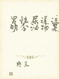 男性尿道流出透明分泌物是什么