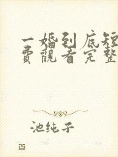 一婚到底短剧免费观看完整版