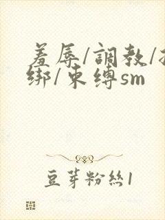 羞辱/调教/捆绑/束缚sm封面