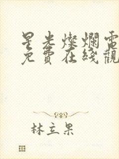 星光灿烂电视剧免费在线观看