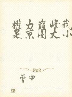 权力巅峰我老婆是京圈大小姐