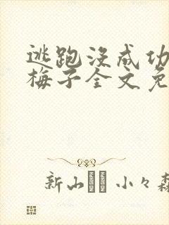 逃跑没成功by梅子全文免费阅读笔趣阁