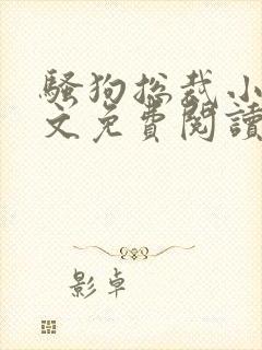 骚狗总裁小说全文免费阅读最新章节