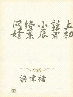 网络小说上门龙婿叶辰萧初然