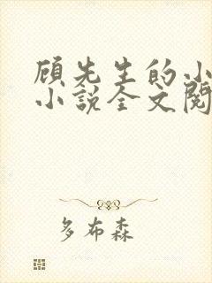 顾先生的小娇妻小说全文阅读