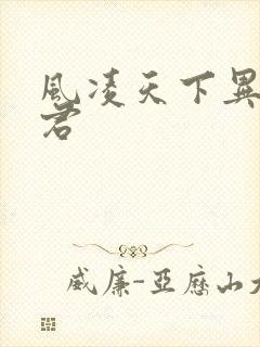 风凌天下异世邪君