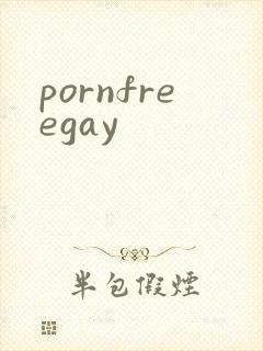 pornfreegay封面