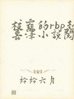 校霸的rbp封嘉泽小说阅读魏承泽封面