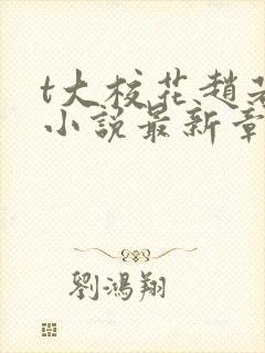 t大校花赵若芸小说最新章节更新内容封面