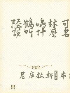 陆鹤鸣林可薇小说叫什么名字