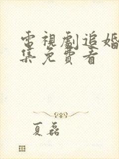 电视剧追婚记全集免费看