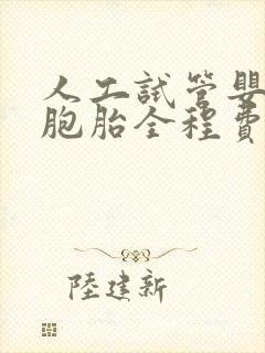 人工试管婴儿双胞胎全程费用多少封面